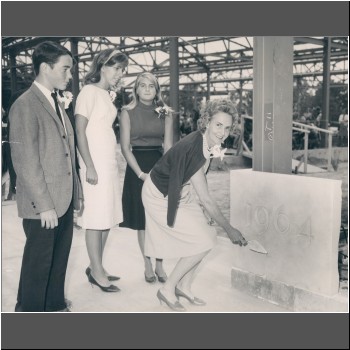 Unable to load Image